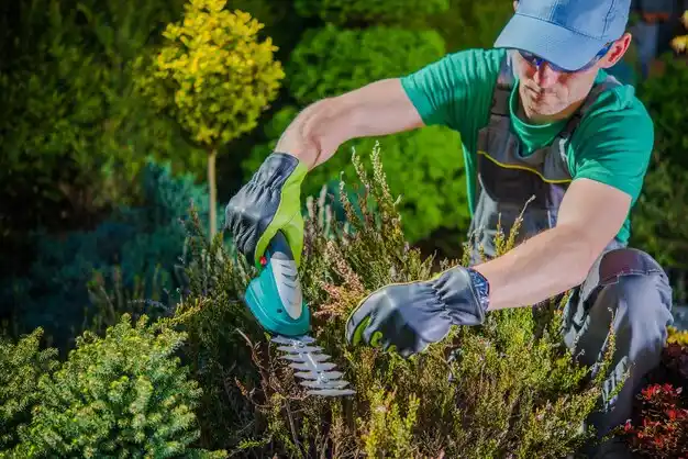 landscaping services Boyle